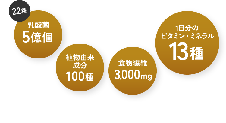 22種乳酸菌5億個/植物由来成分100種/食物繊維3000mg/1日分のビタミン・ミネラル13種