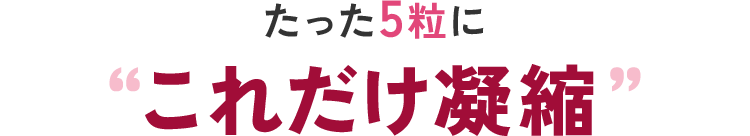 これだけ凝縮たった5粒に